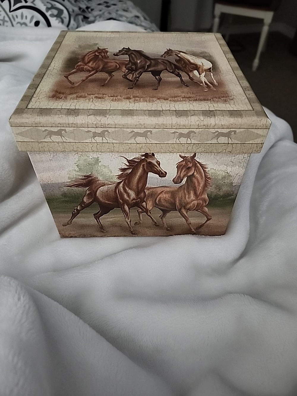 Jewelry Box- Decorative "Wild Horses"  - Beige - Picture 6 of 6